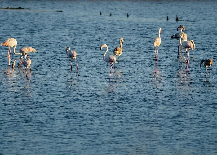 Apartmán Ocean Village